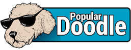 Popular Doodle | The #1 Community for Doodle Dog Parents