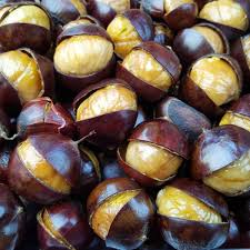 Can Dogs Eat Chestnuts? | Are Chestnuts Bad for Dogs?